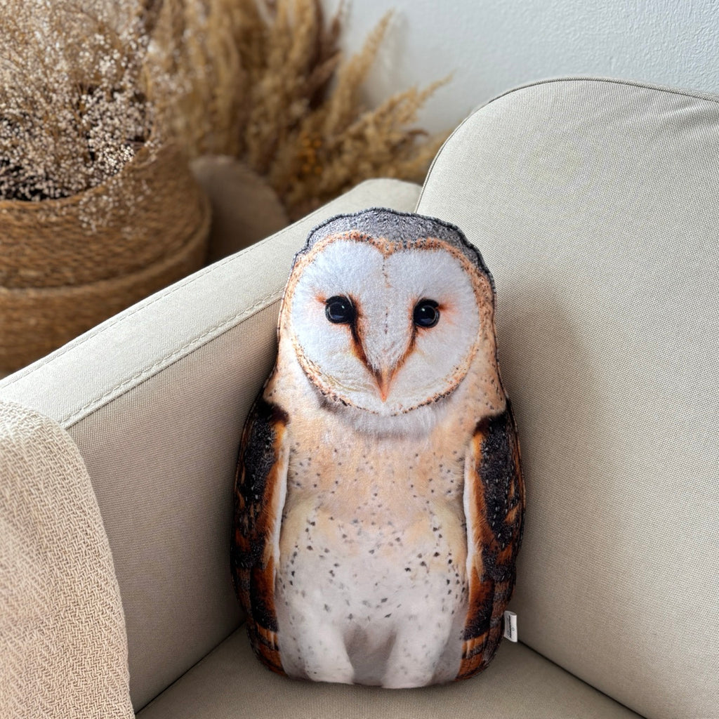 5c622e612510d2b0065aa03a600230ab