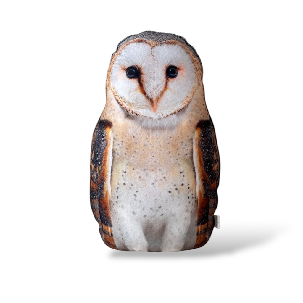 da34d074f6a8d4af928e01b9102ccb6f