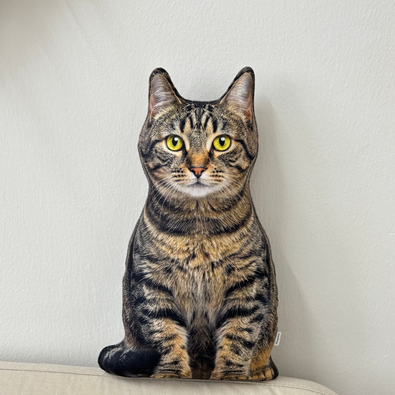 e8682fb79ff53d0e4e3379a64e2e1bf1