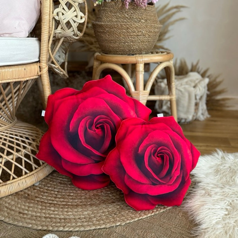 543da99f581380b3543fa0f96c096bc3