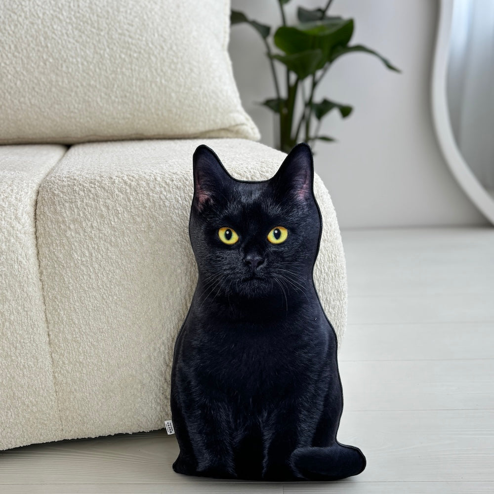 9126a01df3c51957bed3f5a2eca3b92b