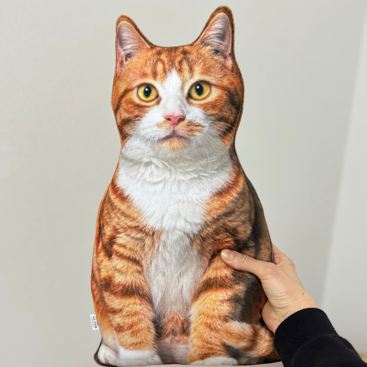 404032dd7df3d5db708892b706246ab0