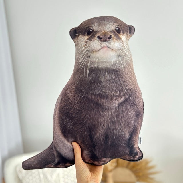 otter cushion
