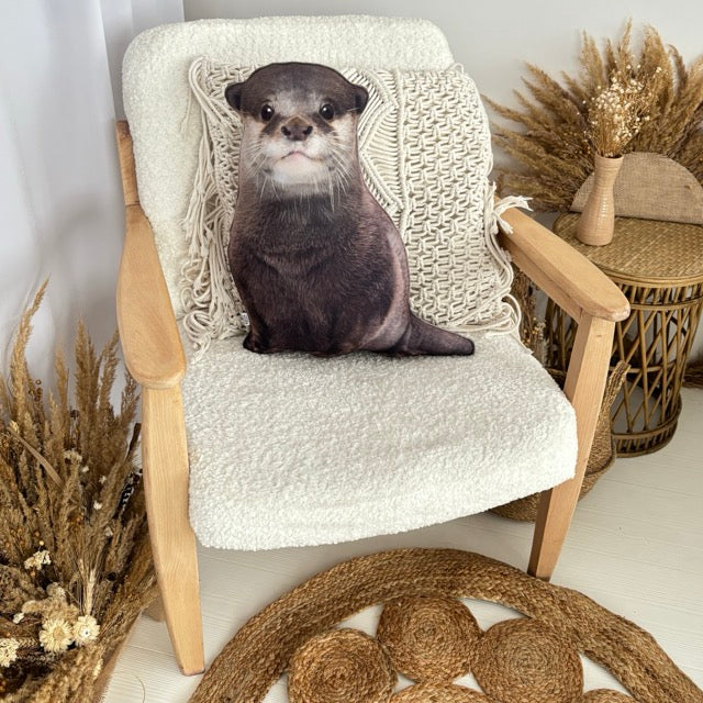 cute otter pillow