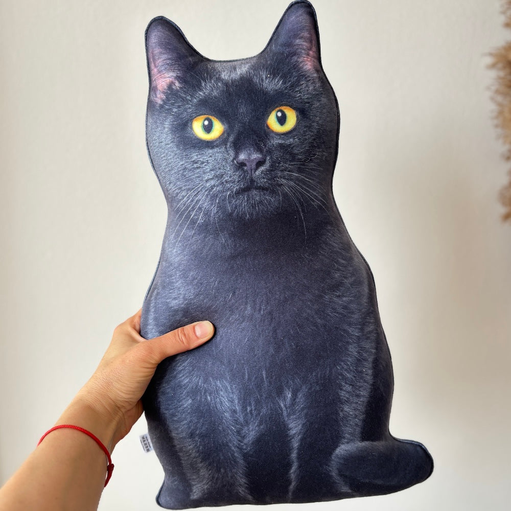 4594badfb41051267434b16db786db8b