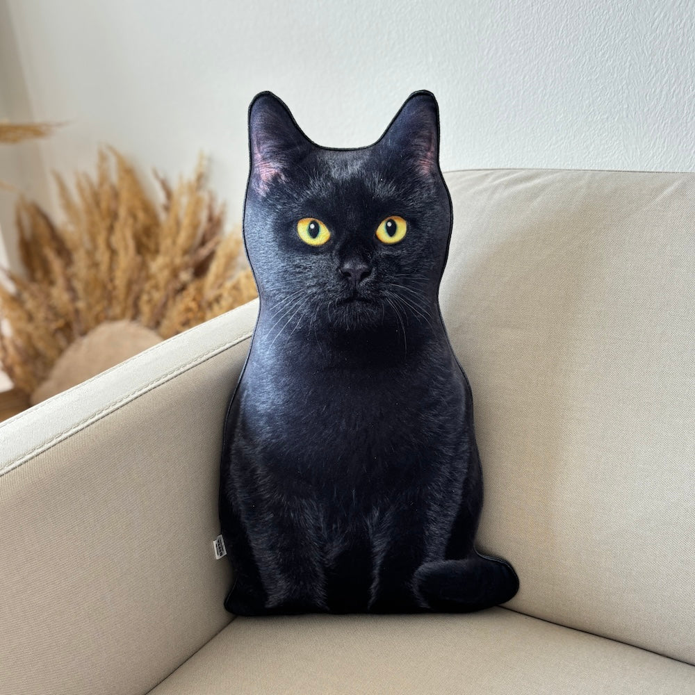 da16abe493e12d89ff9f9165103c5feb