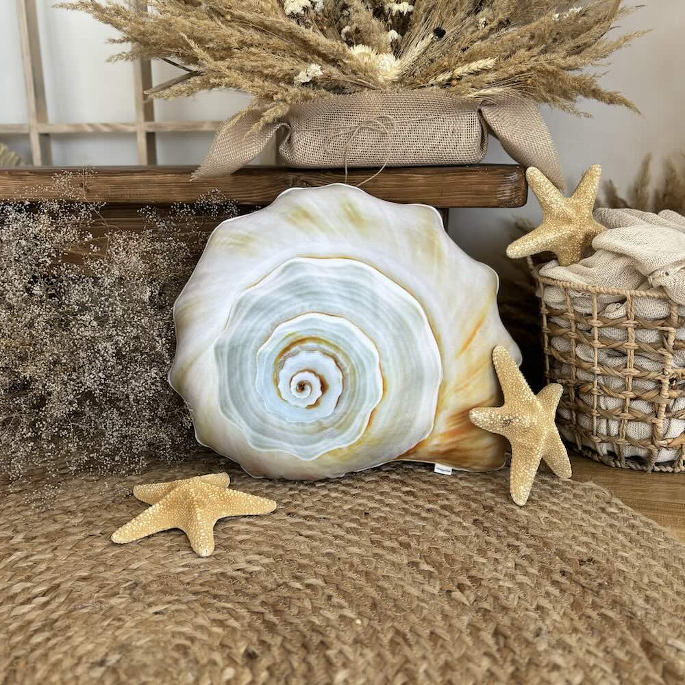seashell pillow