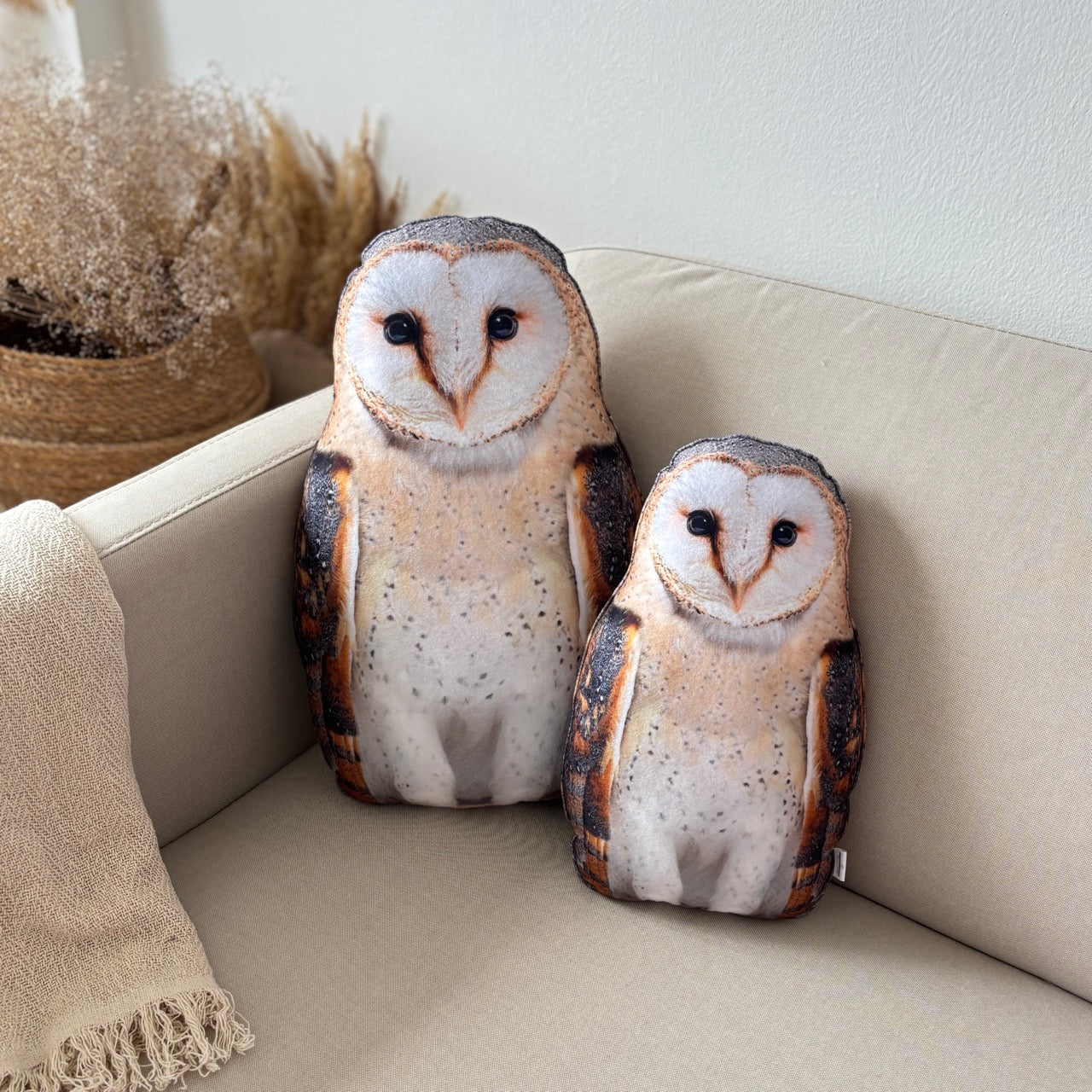 545b07c22b2b002cdf507ca43b3afb02