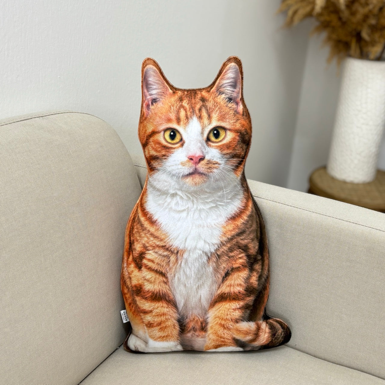 5af5fd434cdba1fd88ec81a2f3d28e20