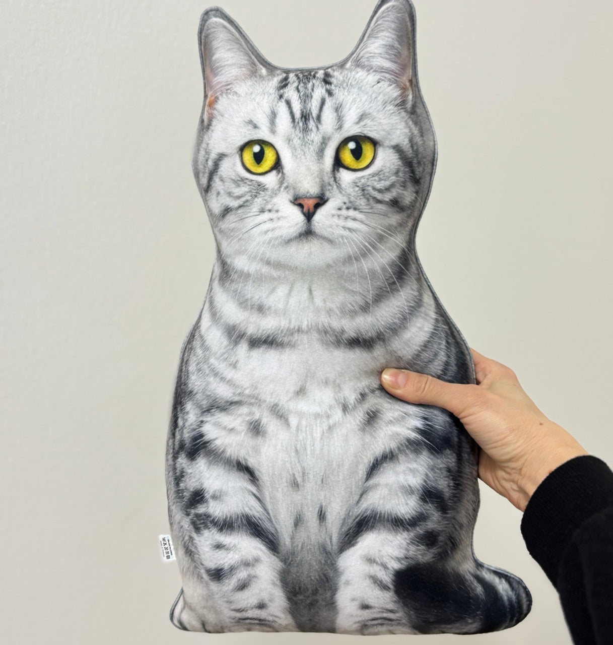 8dc7ca6642ee460c139077ec8a6edbdd