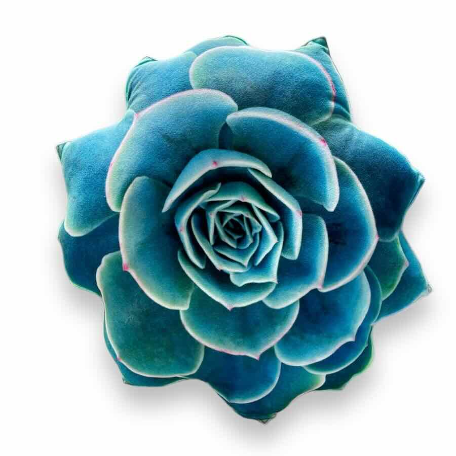 7c50fb63c943cd811854d3a5bd441e69