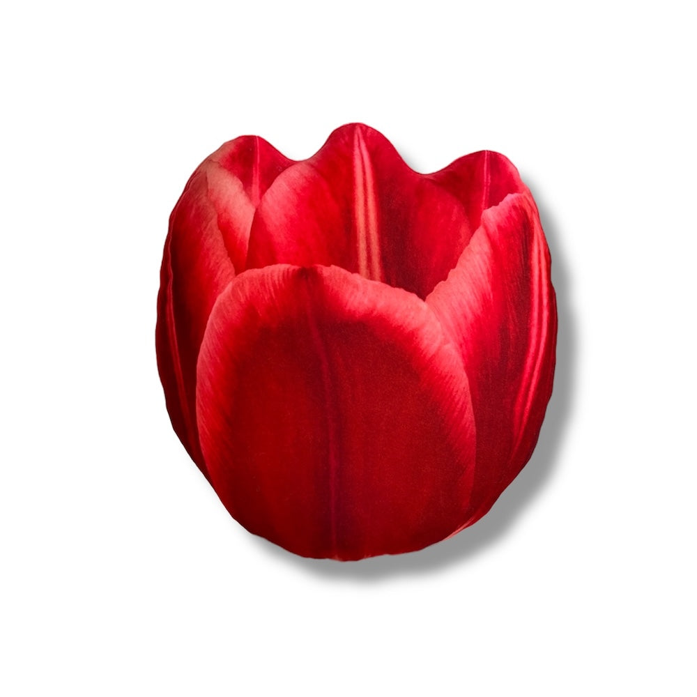 5bddd3be5dc0eaaf1a03b01a56caeb2d