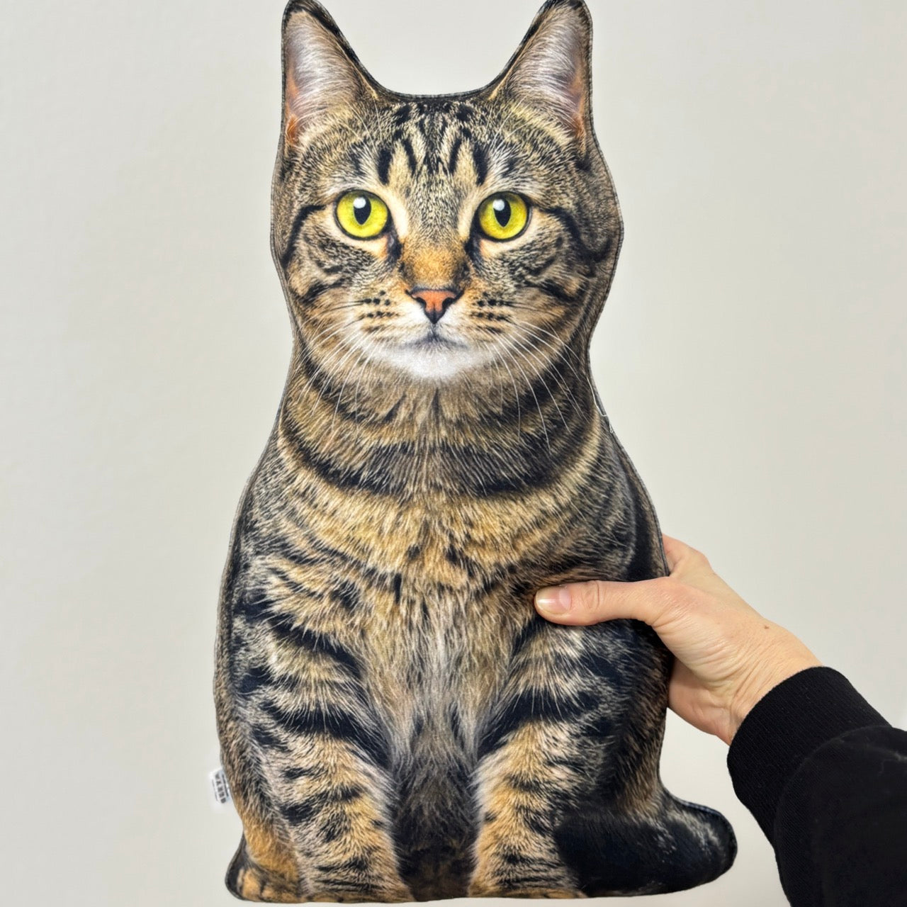 134f85d20f395595ca9f6944604eff0d