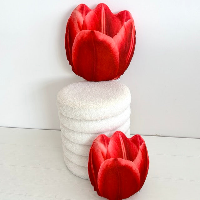 fde7b0344acb95bc06267c9cf172f703