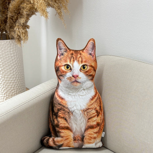 c948eb101af686ae6a5f8c1af9310d0d