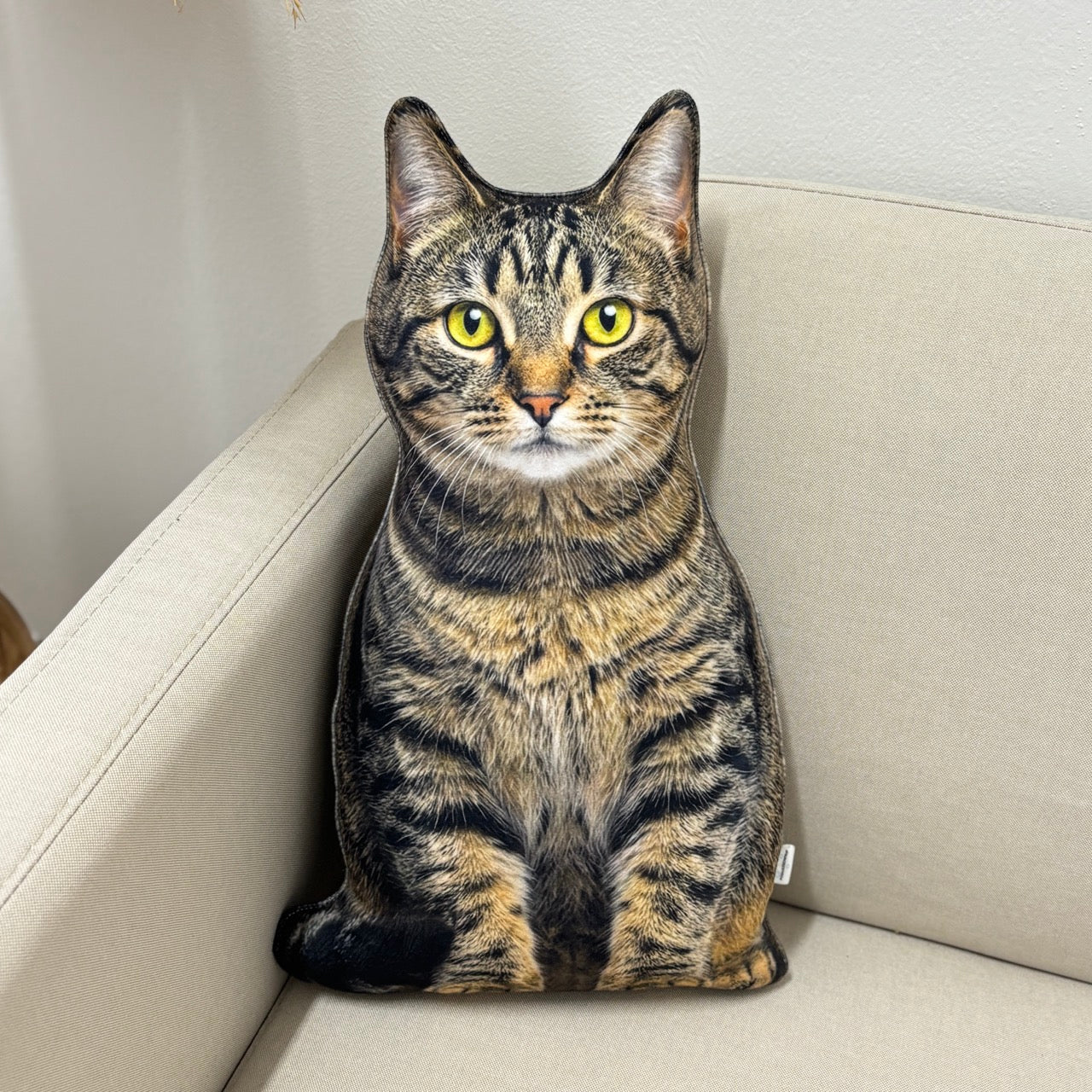 b0e42ceb5b124b455deed2b0fd0909b7