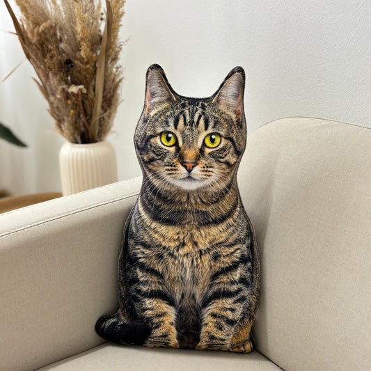 556f05e14f9495f5d72754703419c4cc