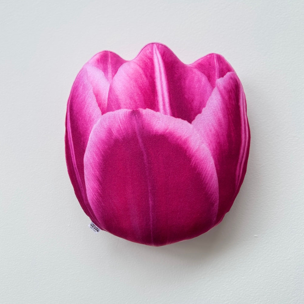 44350855548d678fb70e72f1eb9b6752