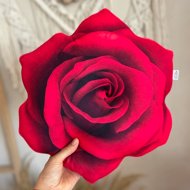 1768910f09c38474e0a5e3ac99bb9721