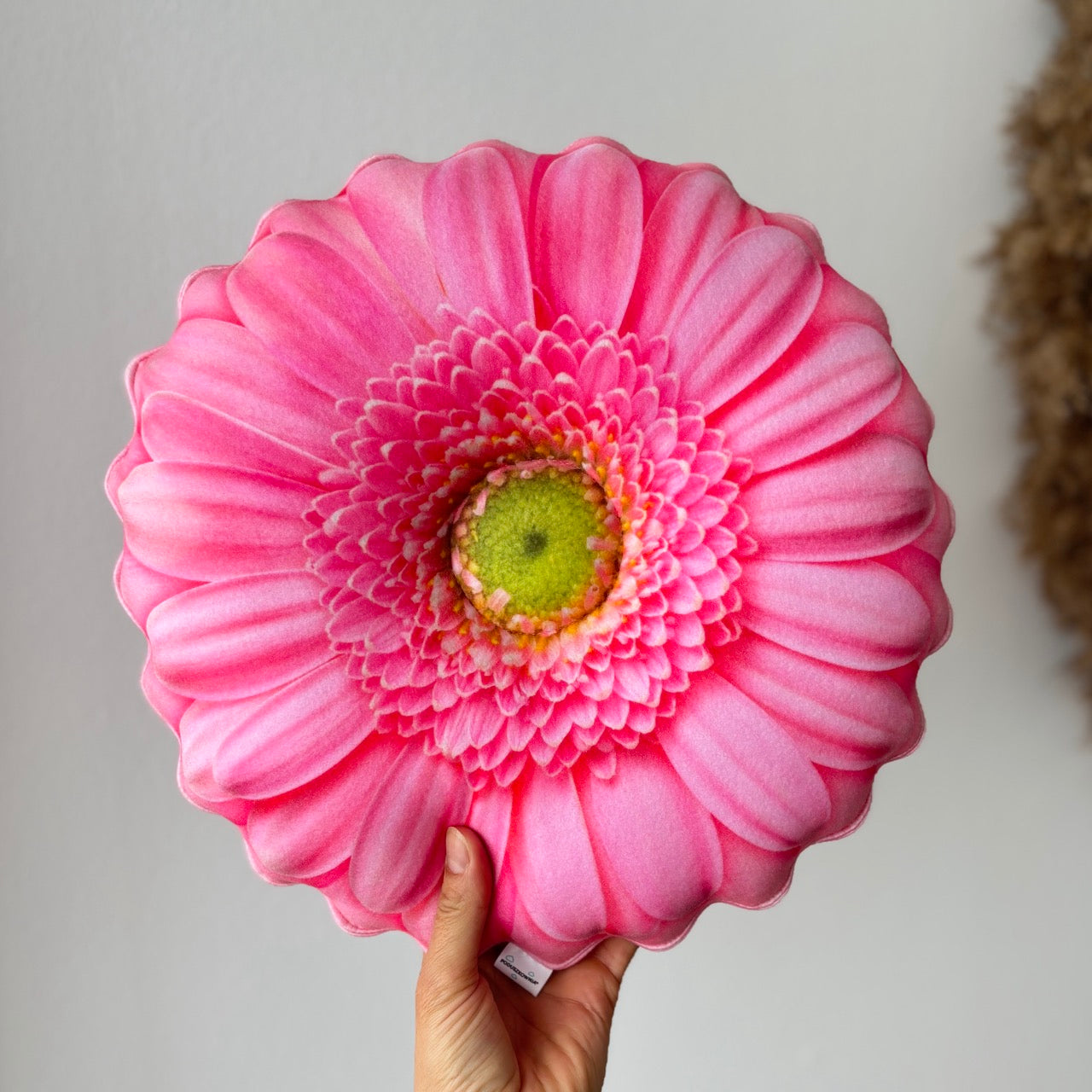 1642a8484404793f855cc35999f0ed38