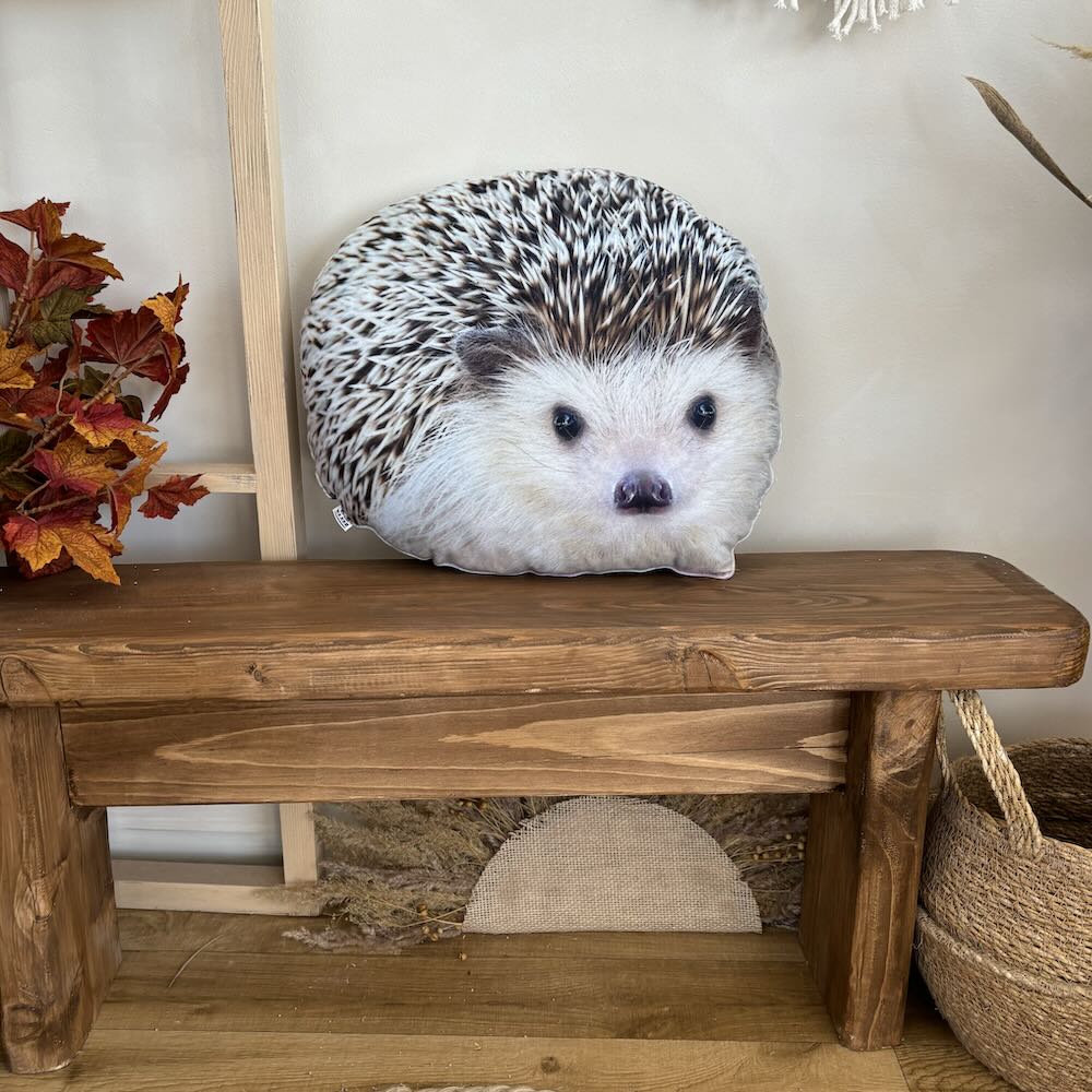 Hedgehog pillow/ hedgehog / wild animal pillow / animal pillow