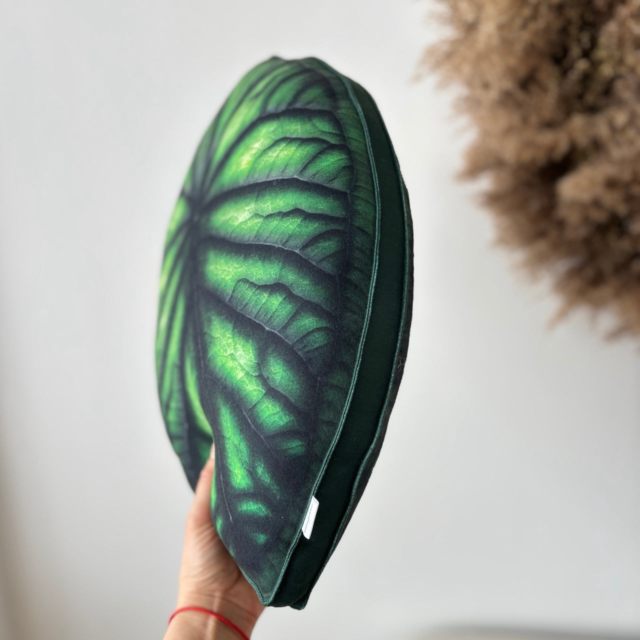 Alocasia Dragon Scale Kissen /Alocasia Kissen / Pflanzenkissen