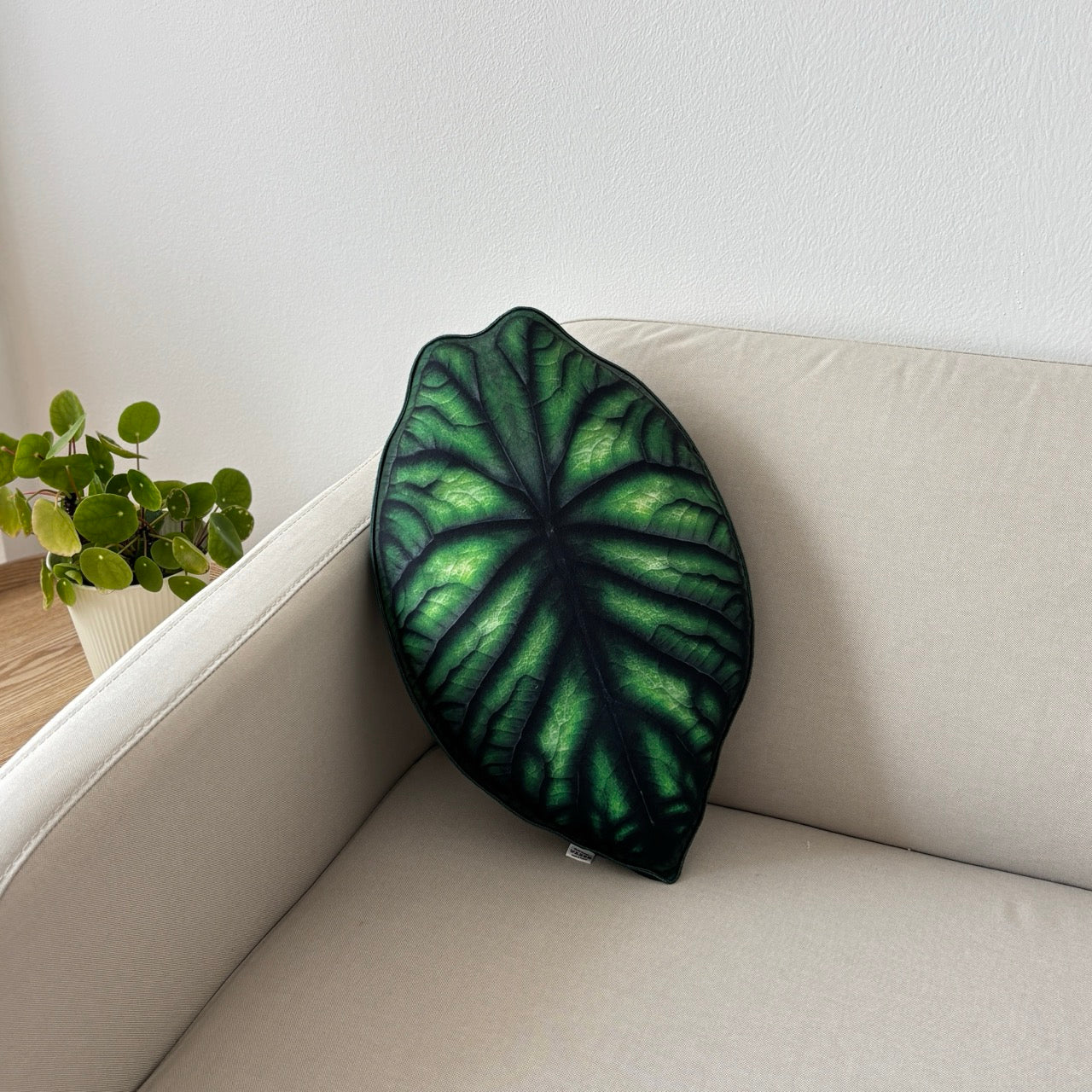 Alocasia Dragon Scale Kissen /Alocasia Kissen / Pflanzenkissen