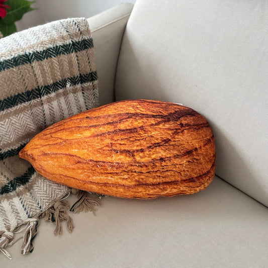 Almond pillow / Almond shaped / Almond cushion / nut pillow / food pillow