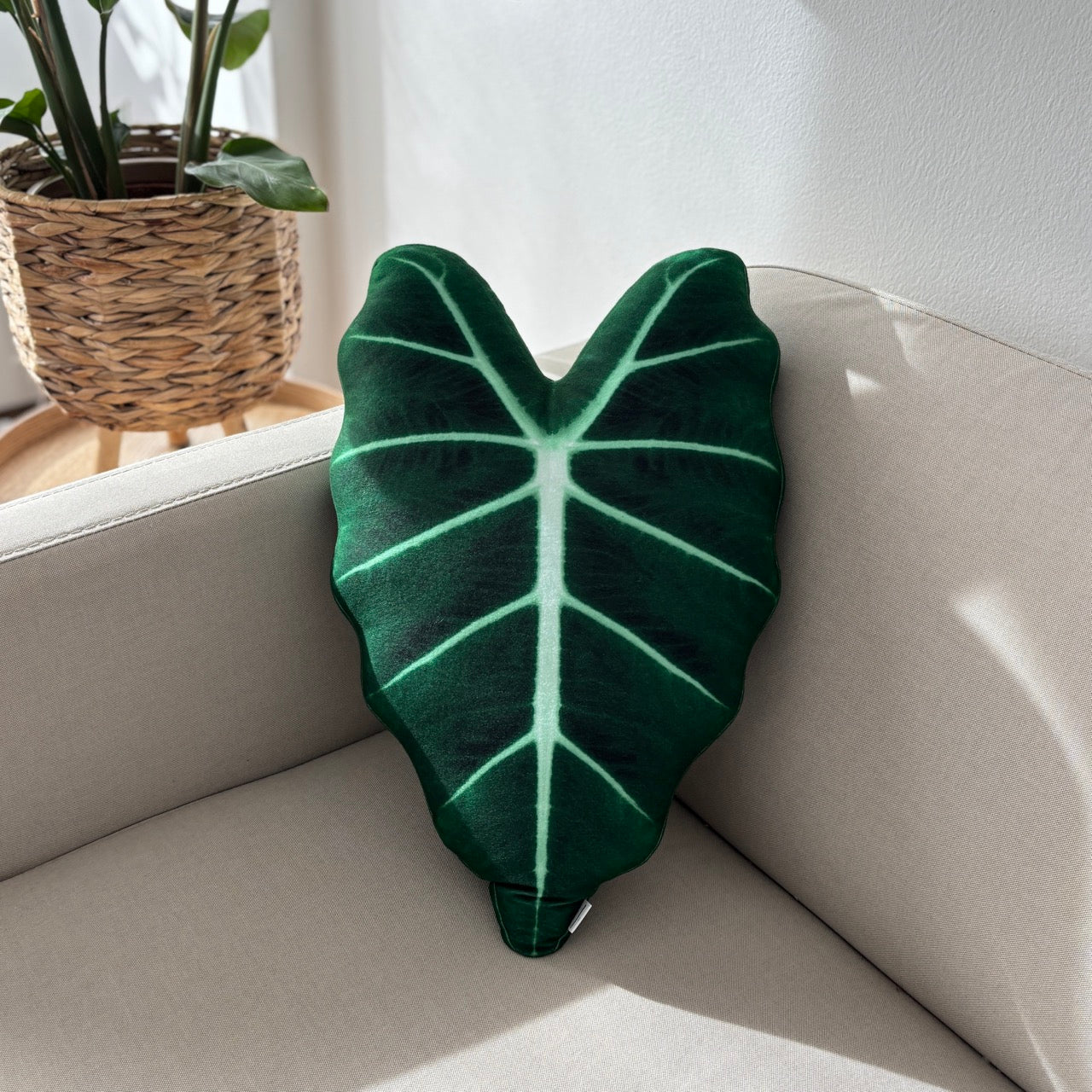 Alocasia Micholitziana Frydek Kissen / Alocasia Green Velvet Kissen / Pflanzenkissen / Blattkissen