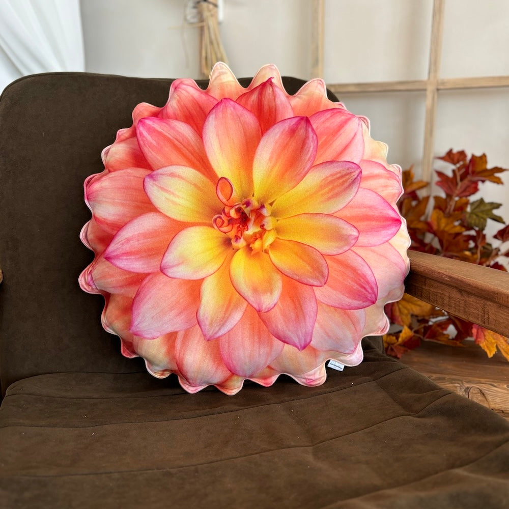 7e092e62ff412bd0df999fa7225485e6