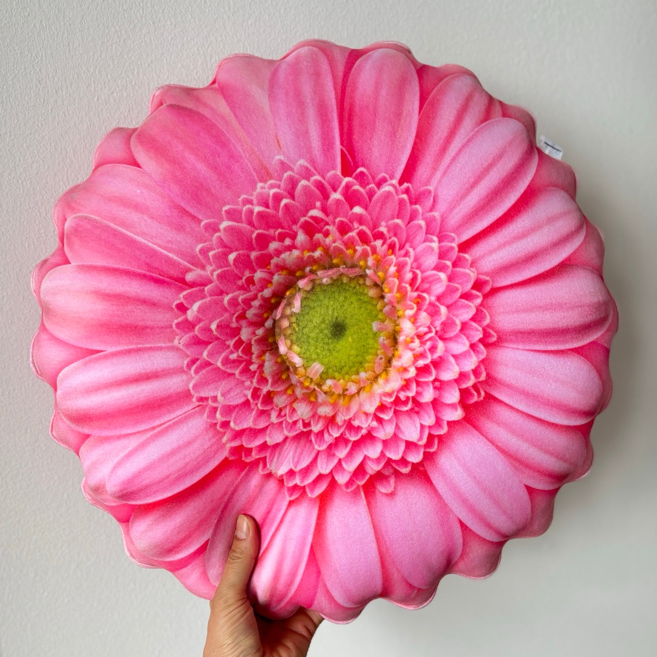 220a64c05e729b8e919f89a3a43cf530