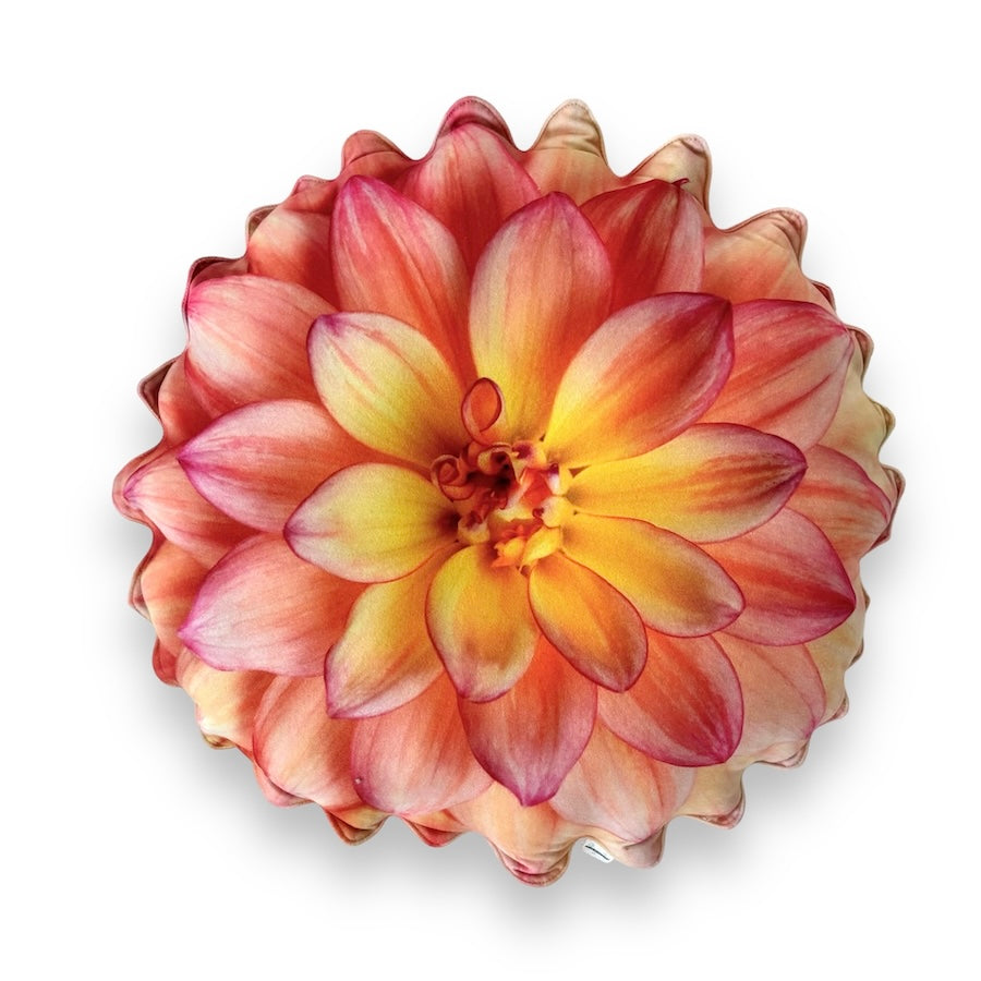 48fde6781b7fc48ed78c38fff0f0f806