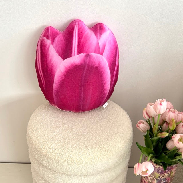 530990009ab259444db1de01a7798e0a