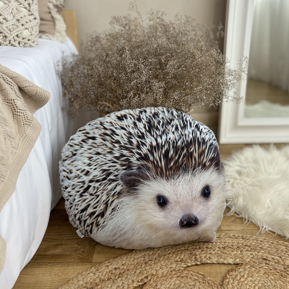 Hedgehog pillow/ hedgehog / wild animal pillow / animal pillow