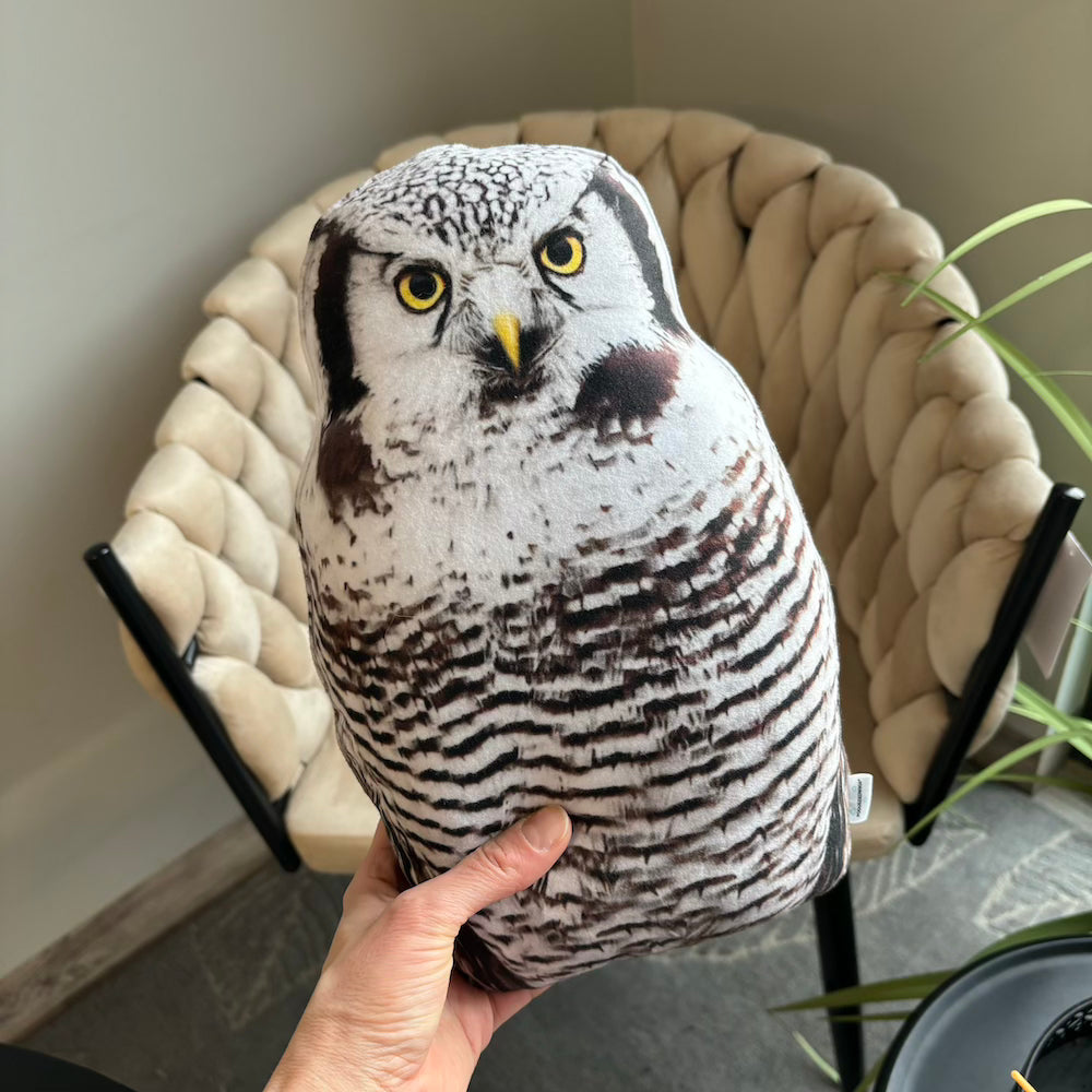 Canadian owl pillow