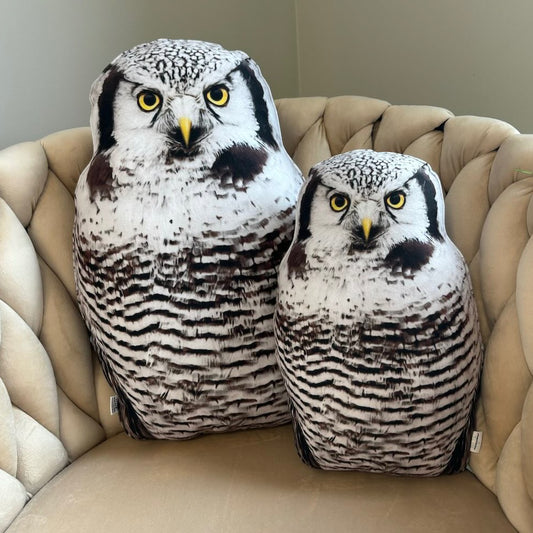 Northern Hawk owl pillows