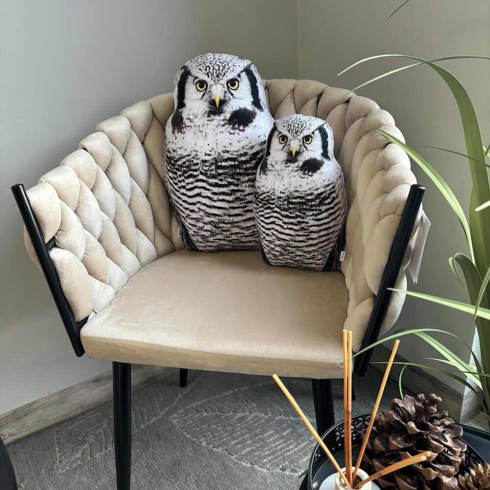 Northern Hawk owl pillows set