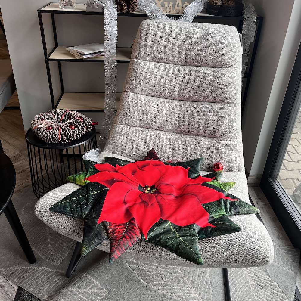 Poinsettia floor mat / christmas floor mat / pet mat poinsettia