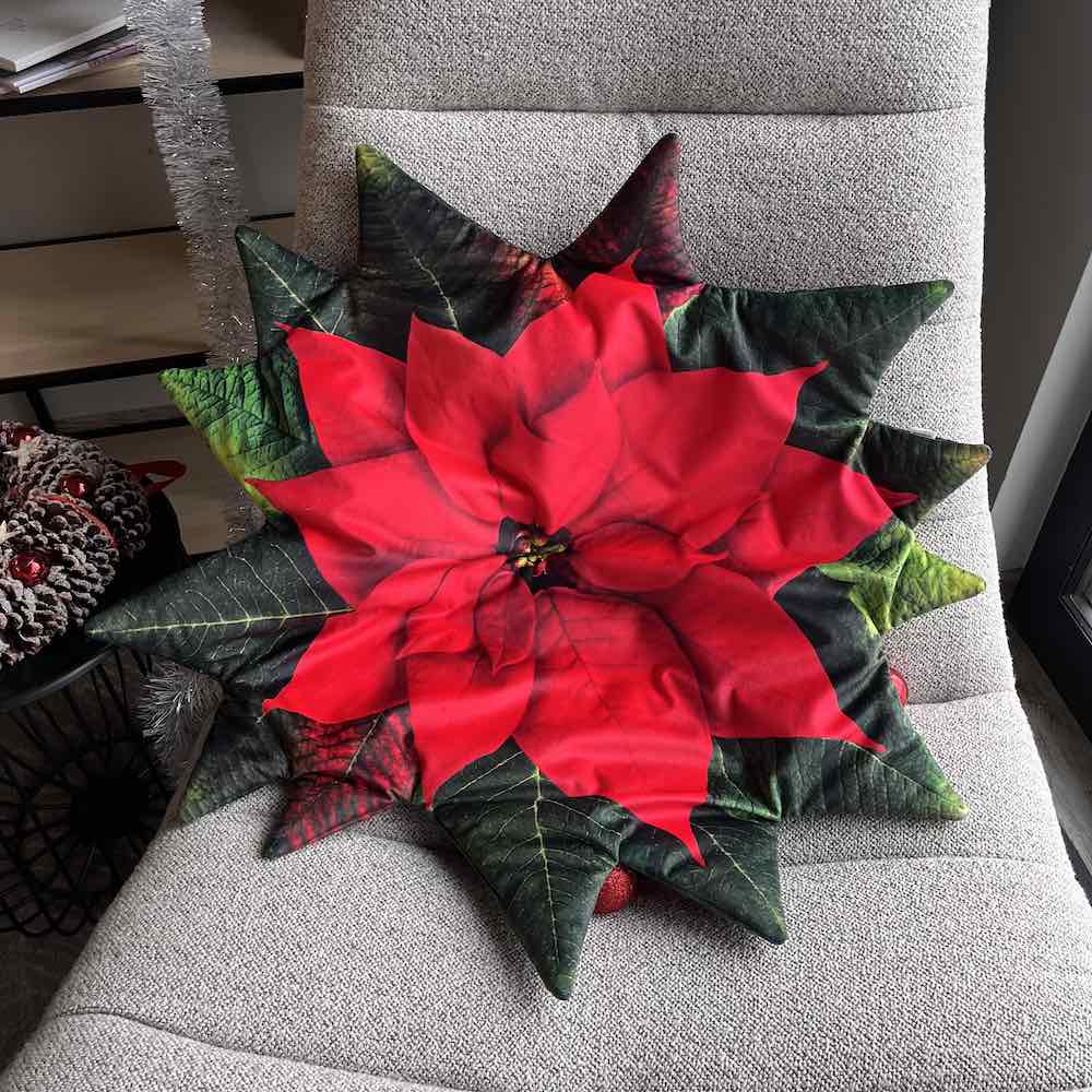 Poinsettia floor mat / christmas floor mat / pet mat poinsettia