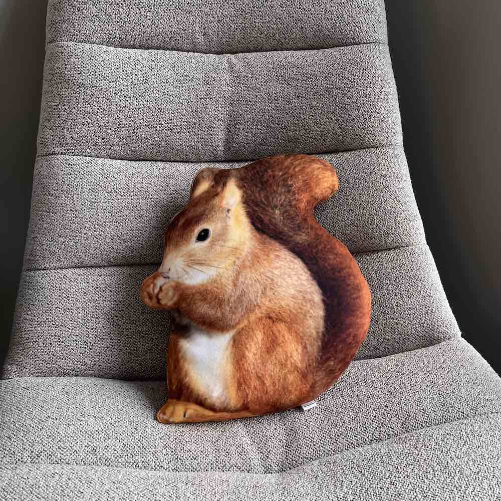 squirrel pillow