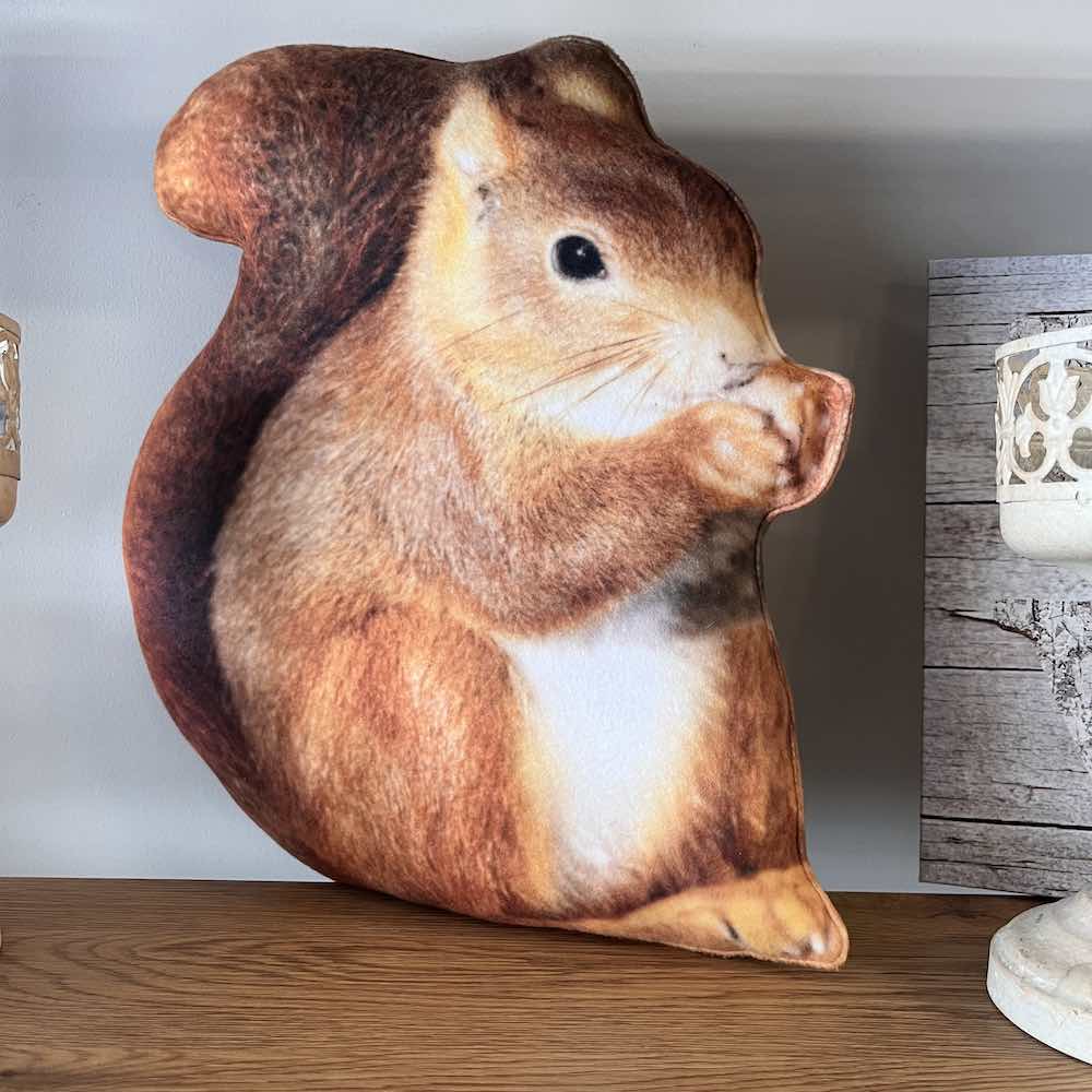 Squirrel pillow clearance