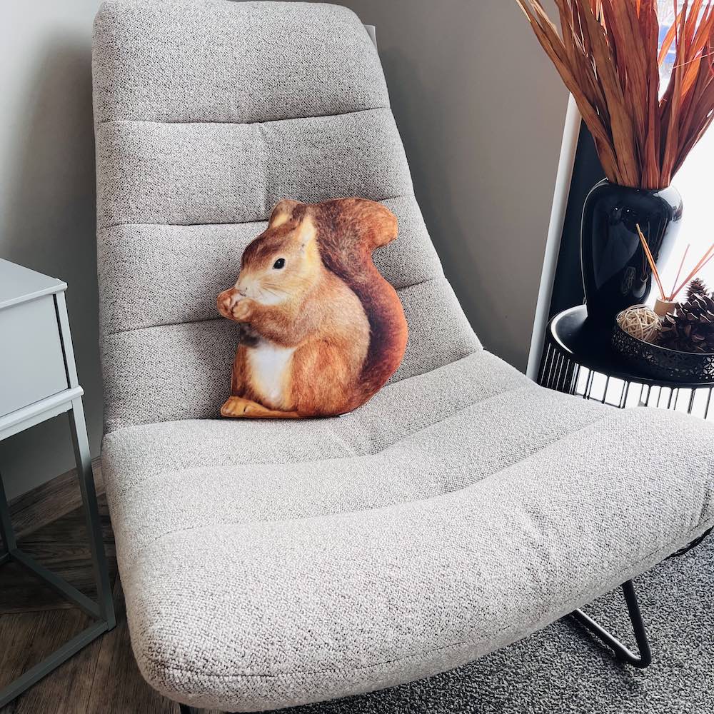 squirrel pillow