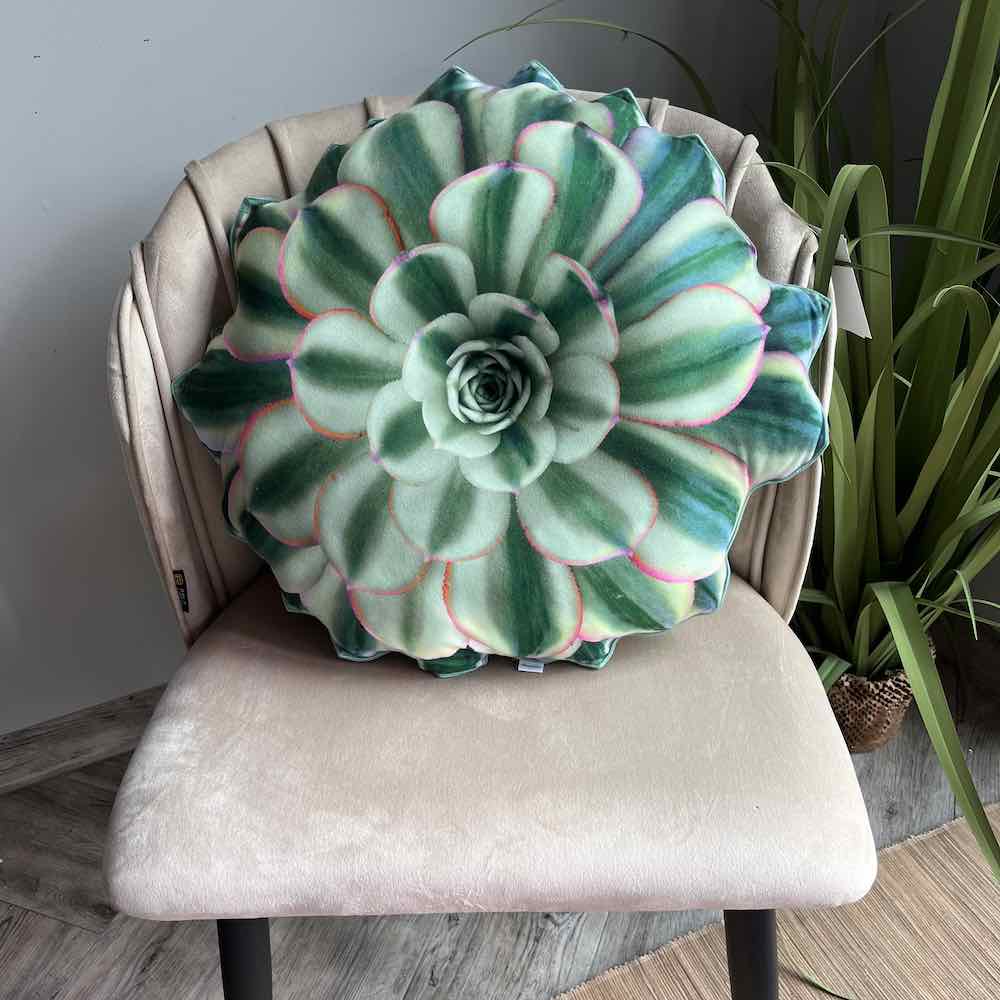 succulent plant pillow Aeonium Sunburst Succulent pillow / succulent pillow / plant pillow
