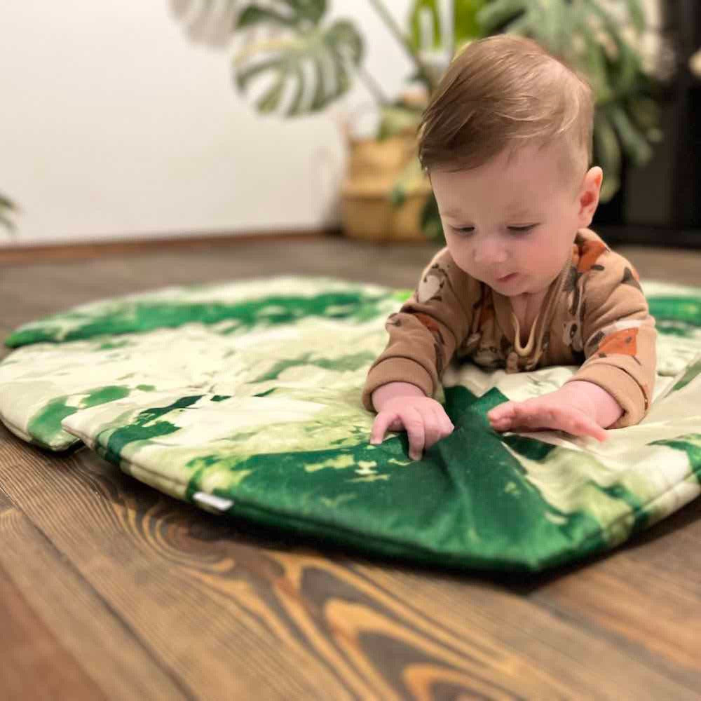 variegated monstera leaf