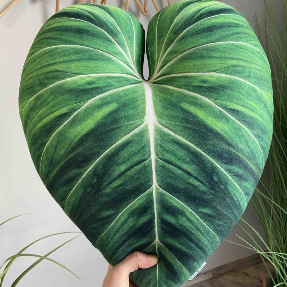Philodendron Gloriosum pillow