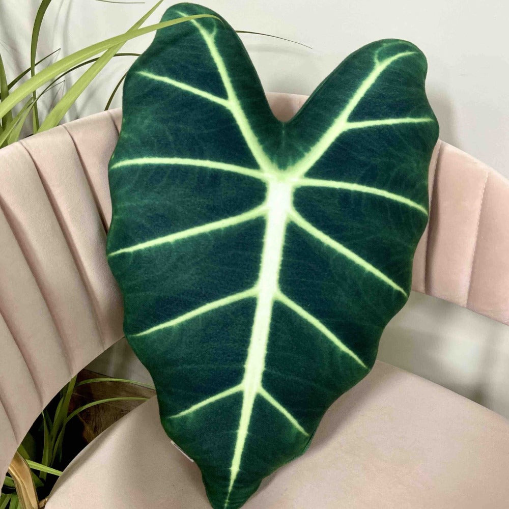 Alocasia Frydek plant pillow