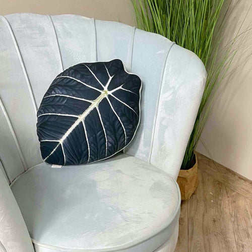 Alocasia Black Velvet pillow