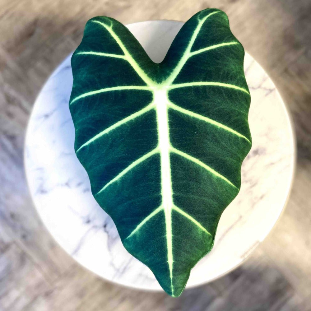 Alocasia Frydek leaf pillow