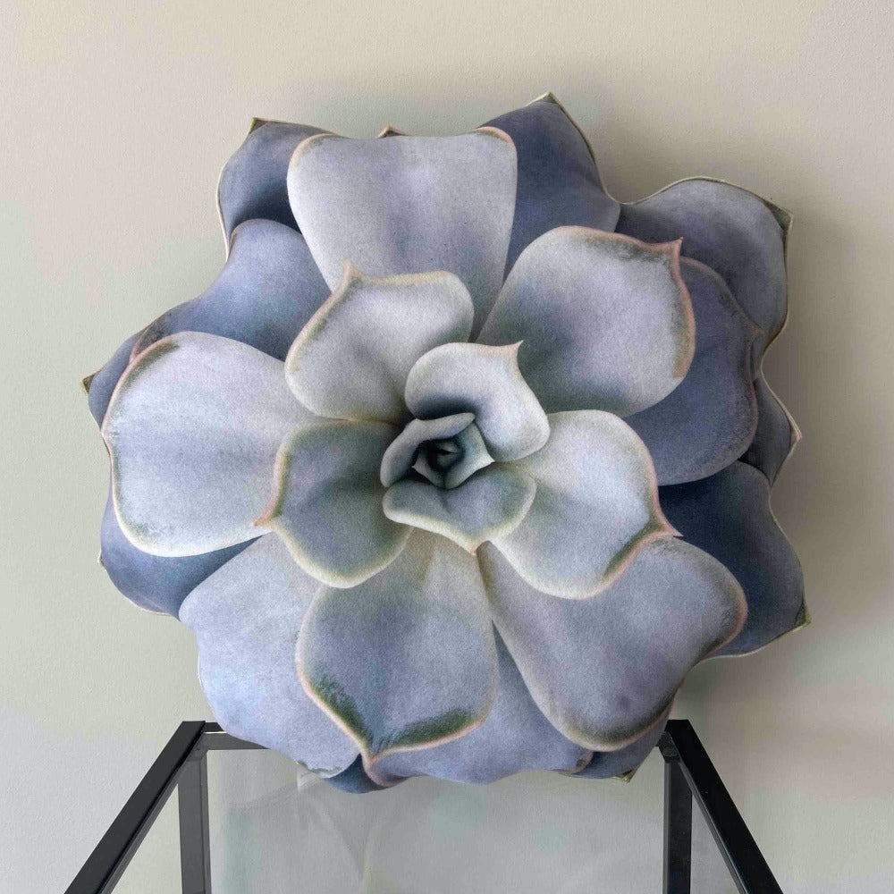 succulent cactus pillow Succulent pillow / echeveria pillow / succulent cushion / cactus – Enjoy Pillows
