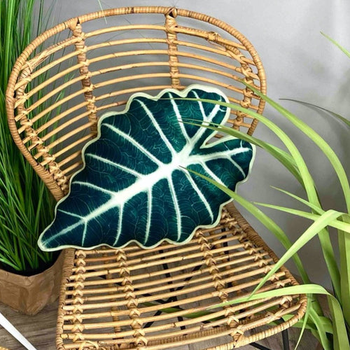 est philodendron pillow Alocasia Polly pillow / Alocasia pillow / plant pillow / leaf pillow